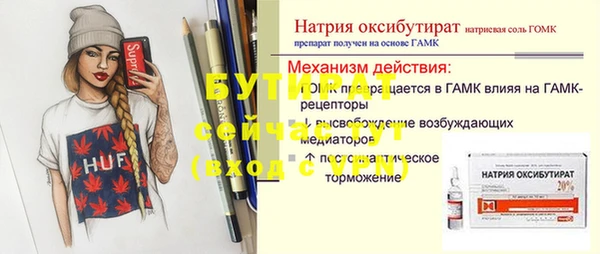 индика Бородино