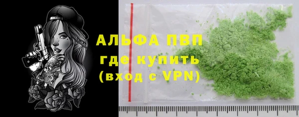 индика Бородино
