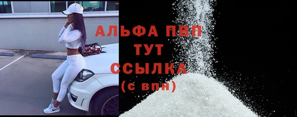 индика Бородино
