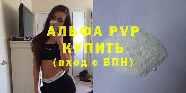 индика Бородино
