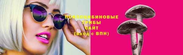 соль ск Богданович