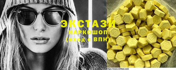 индика Бородино