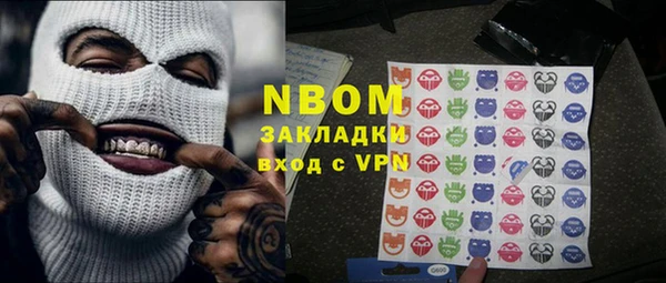 индика Бородино