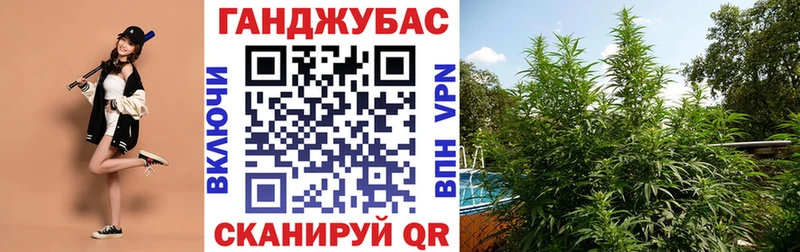 Купить закладки  Нея  Бошки Шишки планчик 